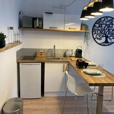 Cosy Et Calme En Coeur De - Quartier Saint Aubin Proche Gare 툴루즈