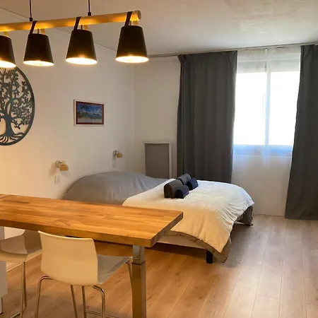 Appartement Cosy Et Calme En Coeur De - Quartier Saint Aubin Proche Gare Toulouse