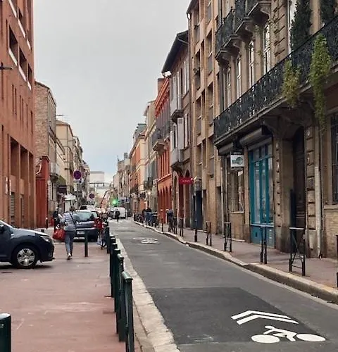 아파트 Cosy Et Calme En Coeur De - Quartier Saint Aubin Proche Gare 툴루즈