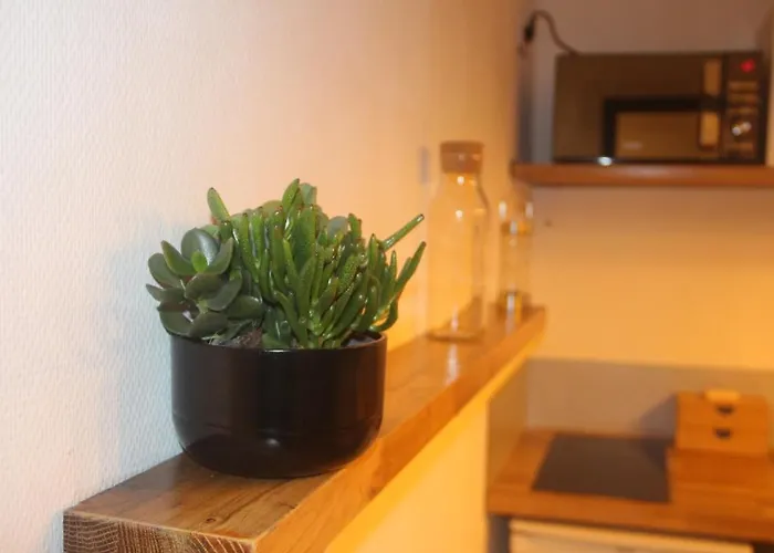 Appartamento Cosy Et Calme En Coeur De - Quartier Saint Aubin Proche Gare Tolosa