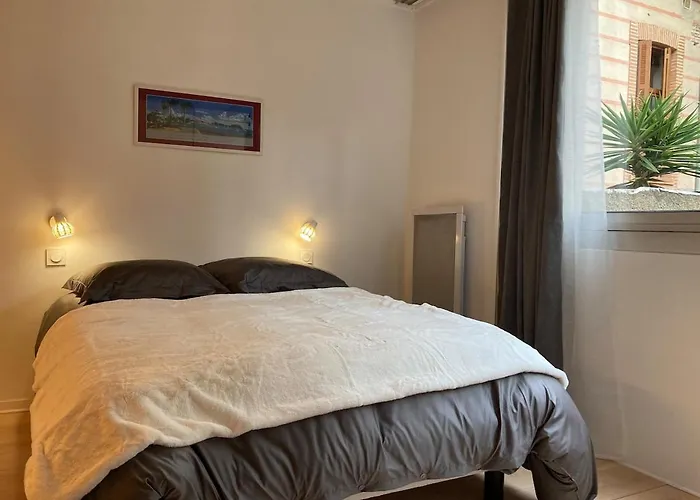 Cosy Et Calme En Coeur De - Quartier Saint Aubin Proche Gare Appartamento Tolosa