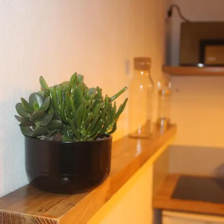 Apartmán Cosy Et Calme En Coeur De - Quartier Saint Aubin Proche Gare Toulouse